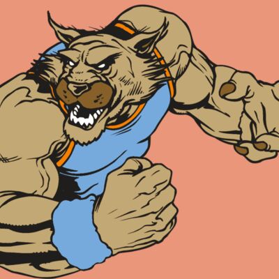 AR WILDCAT 46 RC Thumbnail