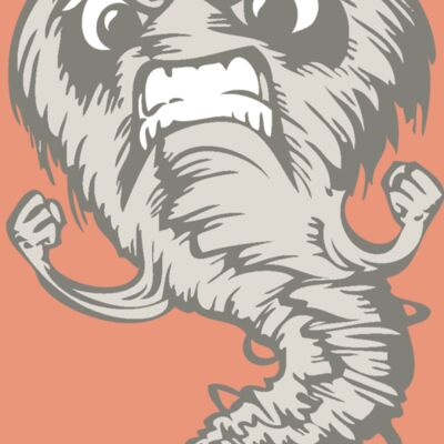 BAW STORM 07 RC Thumbnail