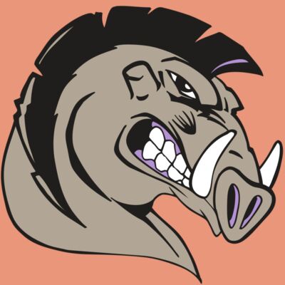 AR RAZORBACK 11 RC Thumbnail