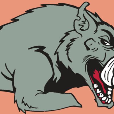 AR RAZORBACK 14 RC Thumbnail