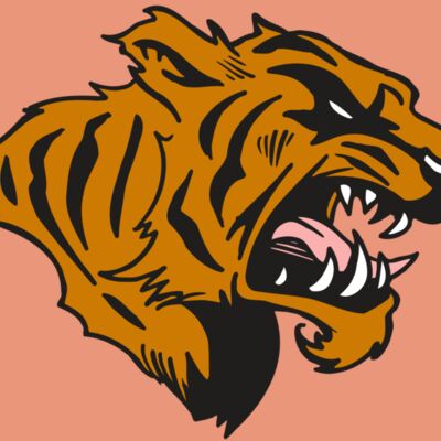 AR5 TIGER 08 RQC Thumbnail