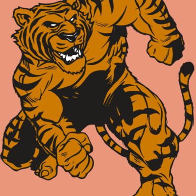 AR TIGER 58 RC Thumbnail