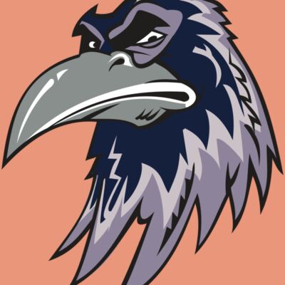 RAVEN HD0501 RQC Thumbnail