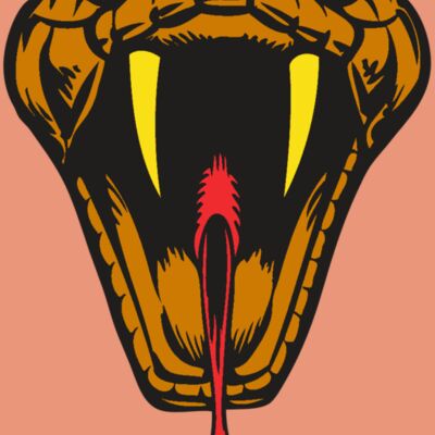 BAW SNAKE 05 RC Thumbnail