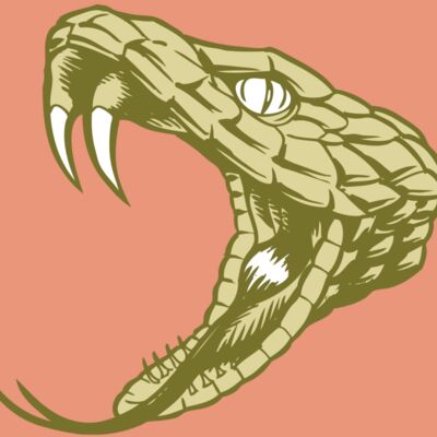 BAW SNAKE 11 RC Thumbnail