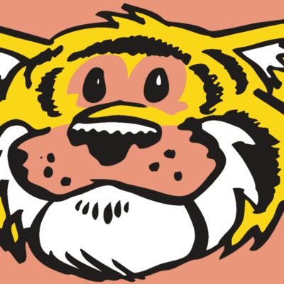 AR TIGER 90 RC Thumbnail