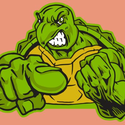 AR31 TURTLE 02 RQC Thumbnail