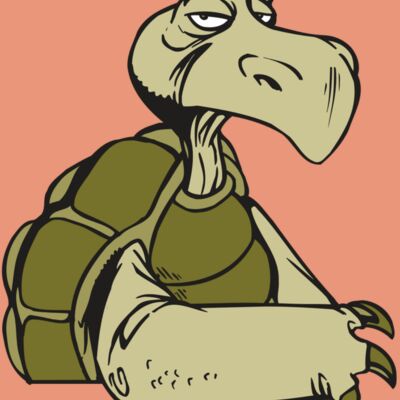 AR5 Turtle 01 RQC Thumbnail