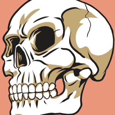 AR24 SKULL 08 RQC Thumbnail