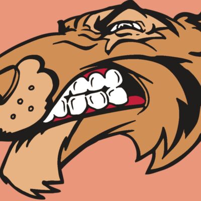 AR5 Tiger 13 RQC Thumbnail