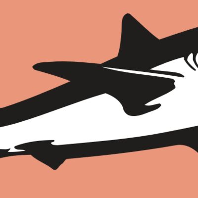 AR5 Shark 15 RQC Thumbnail