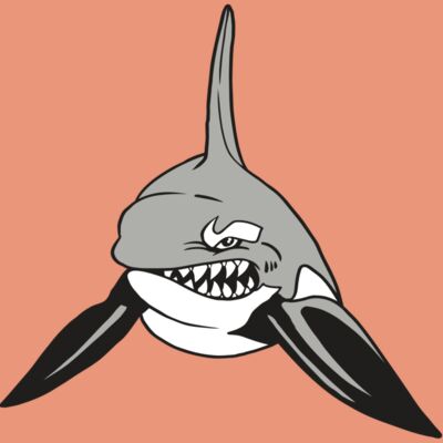 AR19 ORCA 03 RQC Thumbnail