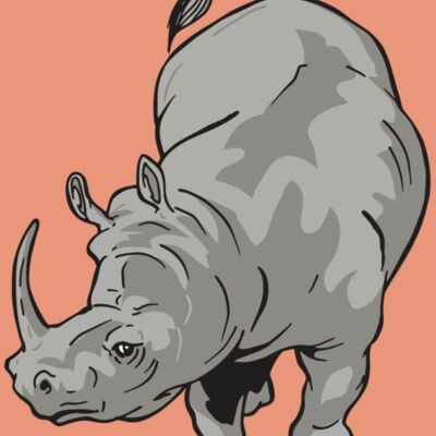 AR RHINO 12 RC Thumbnail