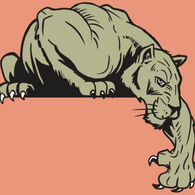 AR10 PANTHER 06 RQC Thumbnail