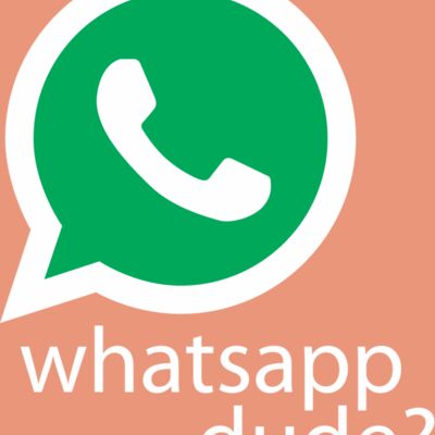 Whatsapp Dude Thumbnail