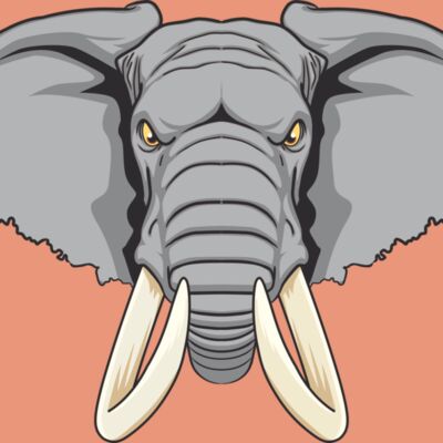 Elephent Head Thumbnail