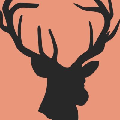 Reindeer 002 Thumbnail